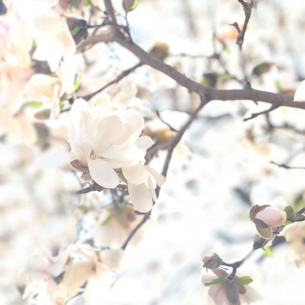 Meet your Posher, Mallorie